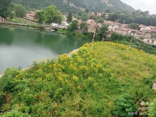 济南市章丘区政府 镇街政务 官庄街道 深入推进 我为群众办实事 实践活动落地见效