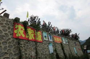 紫藤西山庄园 100元的鲜杏采摘卡免费送,还有人没来领,是不是就是你