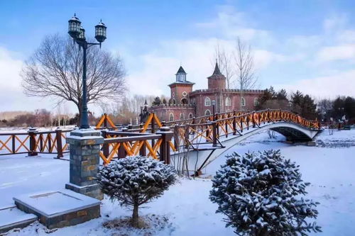 云赏 冰雪龙江丨伏尔加庄园,邂逅俄罗斯风情