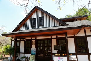 梅州精品民宿特色客栈系列之八 入住爱丽丝庄园,拍尽世界美景