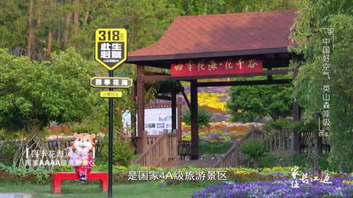 家住长江边 之走进毕昇故里 秀美英山