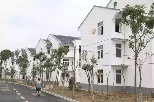 汉王 三堡 郑集 大屯 师寨 碾庄徐州又有6地获国家级荣誉